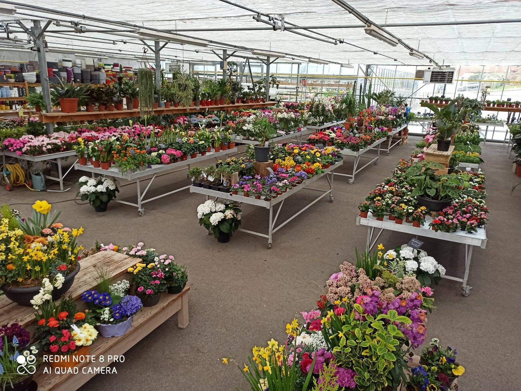Fleuristerie, pépinière et jardinerie à Isques - Serre Des Trois Fontaines