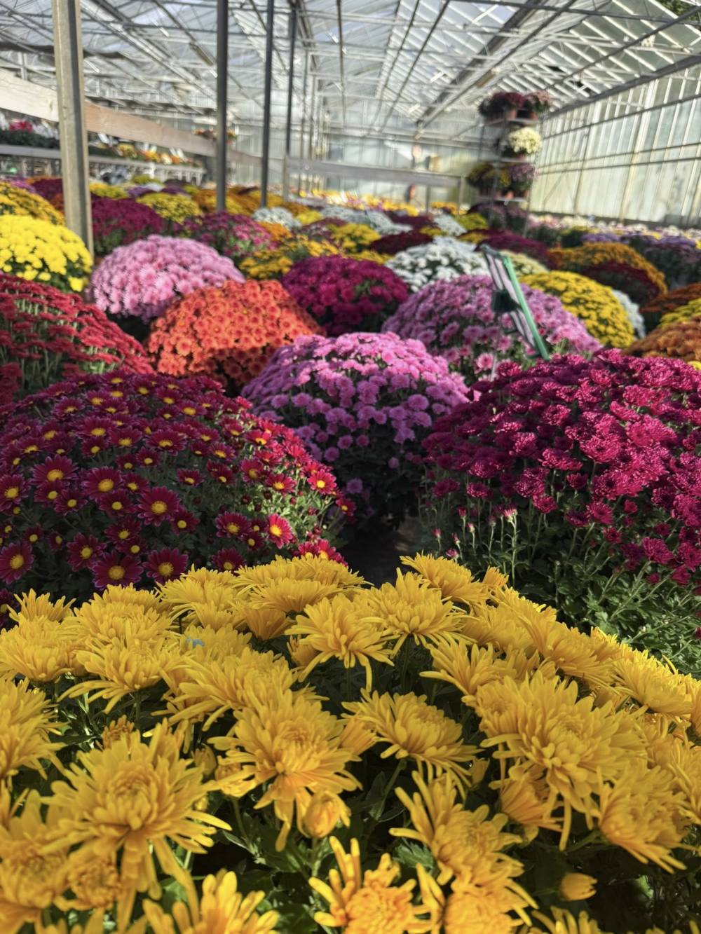 toussaint2-min.jpg toussaint2-min.jpg